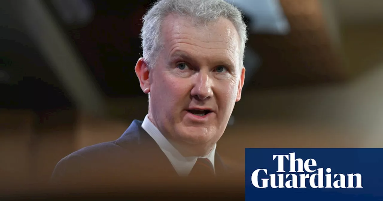 Tony Burke says people have right to grieve Gaza deaths and backs flying Palestinian flag in Australia