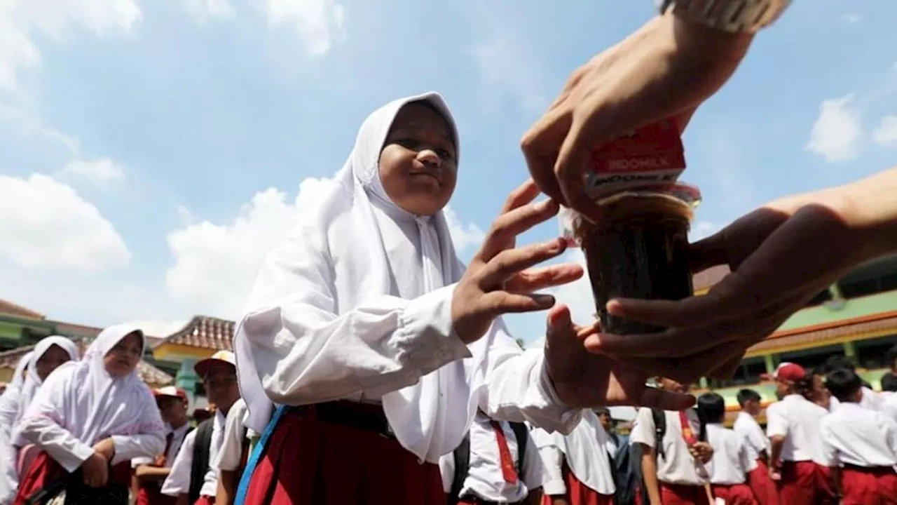 Micronutrients, Prerequisites for a Golden Indonesia