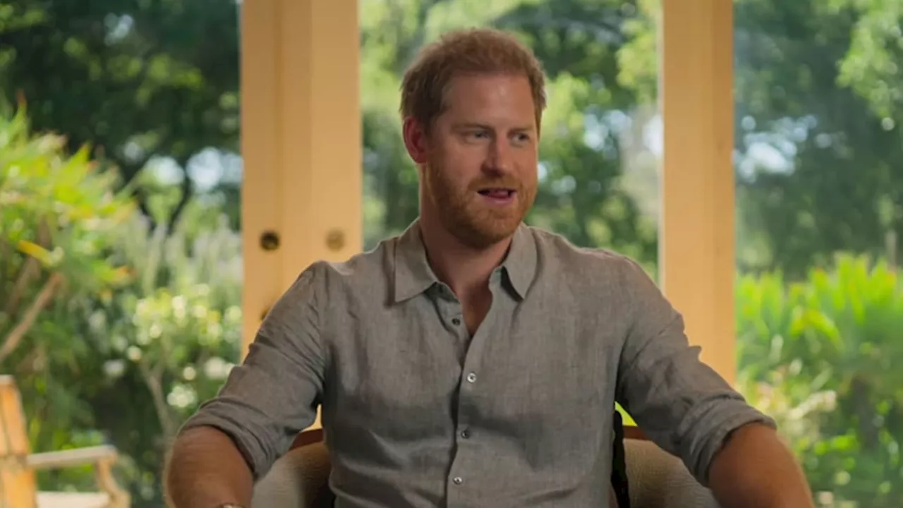 Prince Harry's surprising 'five children' comment in unearthed video from home