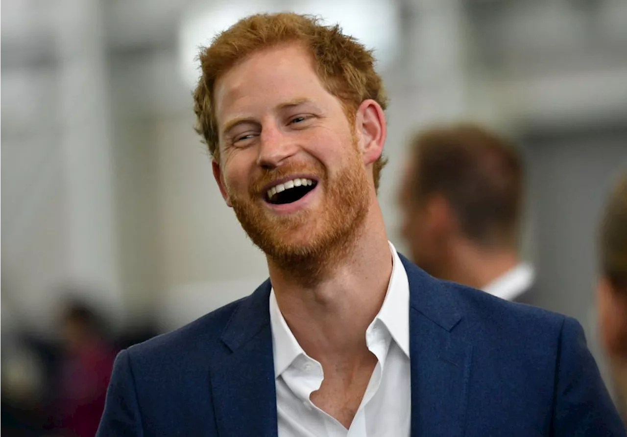 Prince Harry reportedly has enough material for a second book