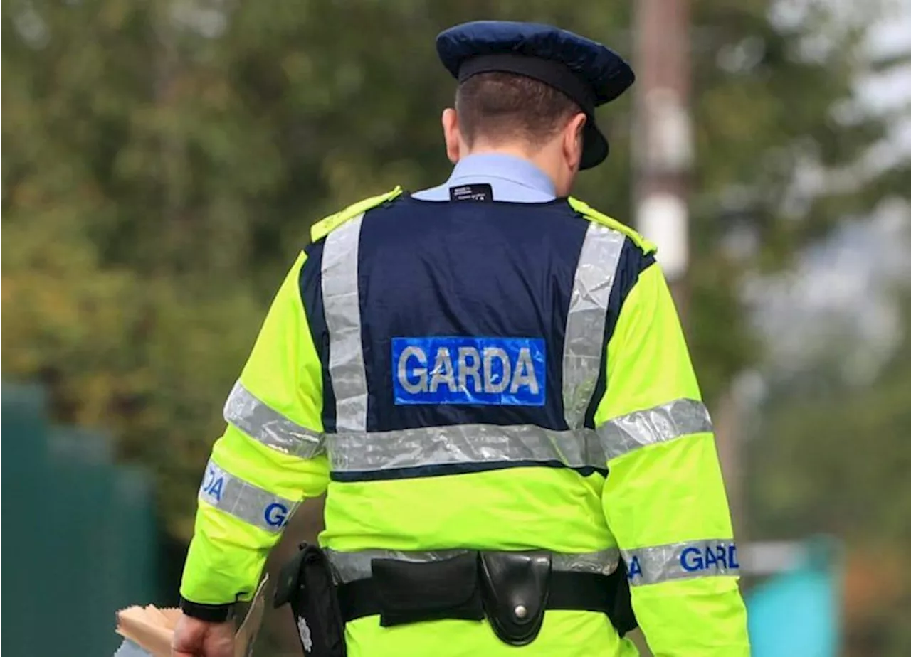 Woman questioned after body of man discovered in Foxrock house