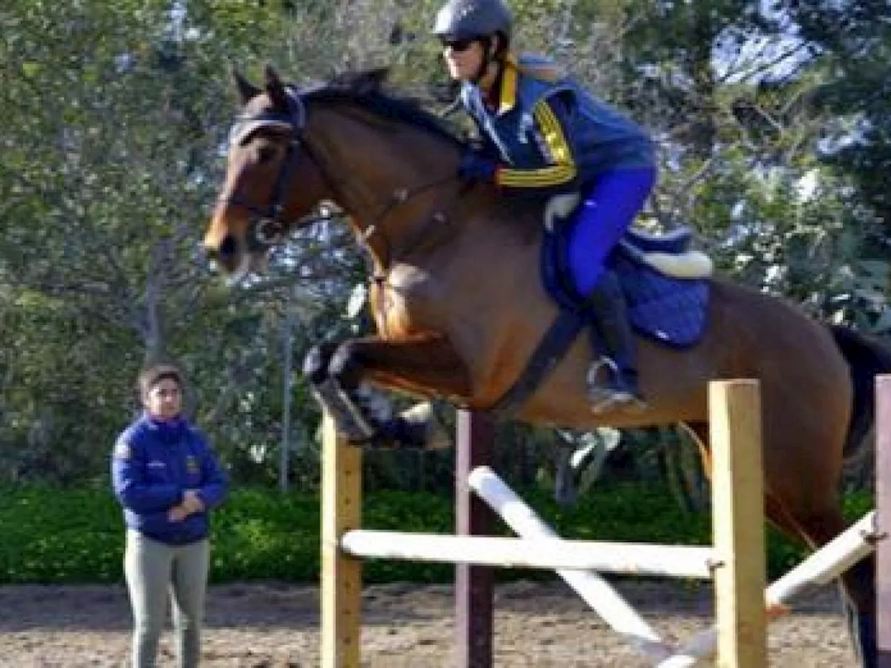 Cade da cavallo poi la tragica fine: morta l'amazzone Margherita Mayer