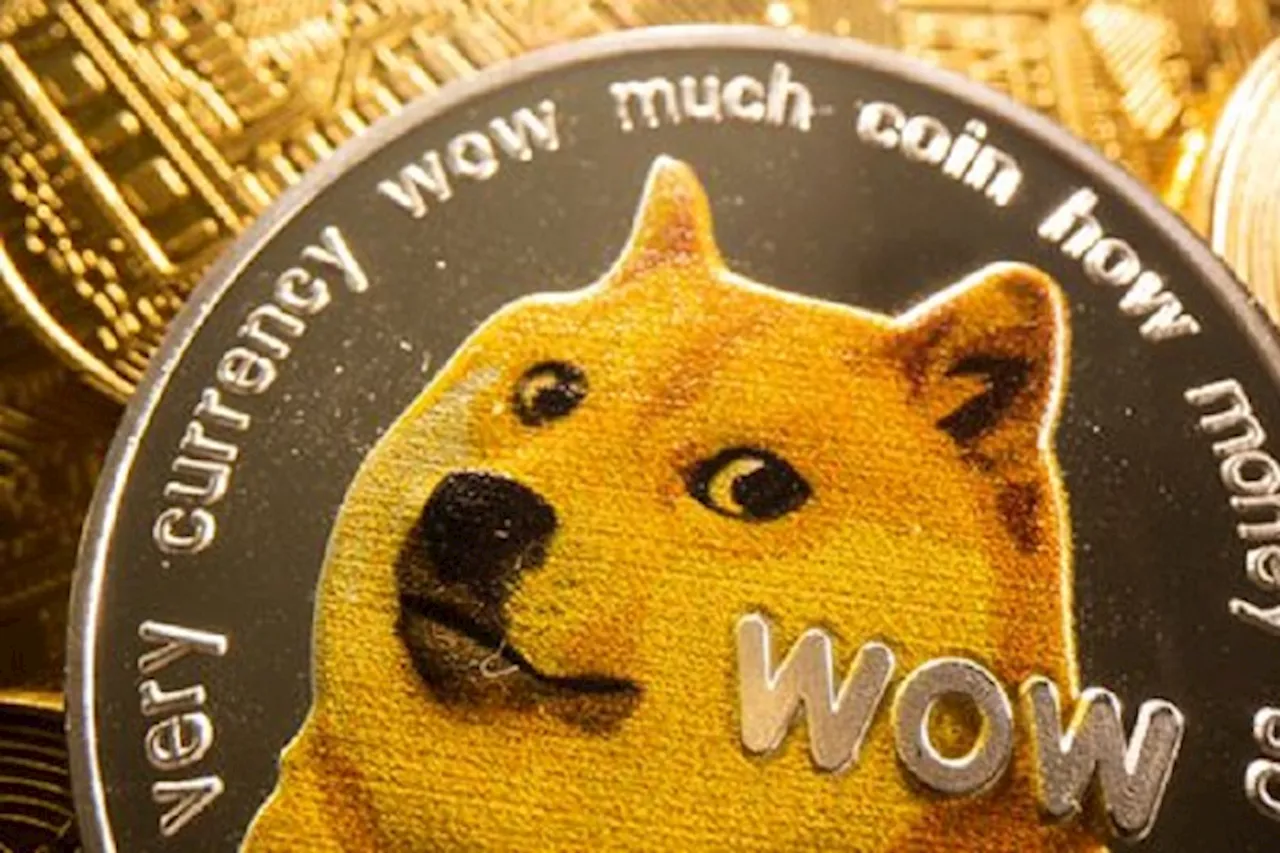 Le Dogecoin et le Shiba Inu s'envolent et rattrapent leur retard sur le Bitcoin