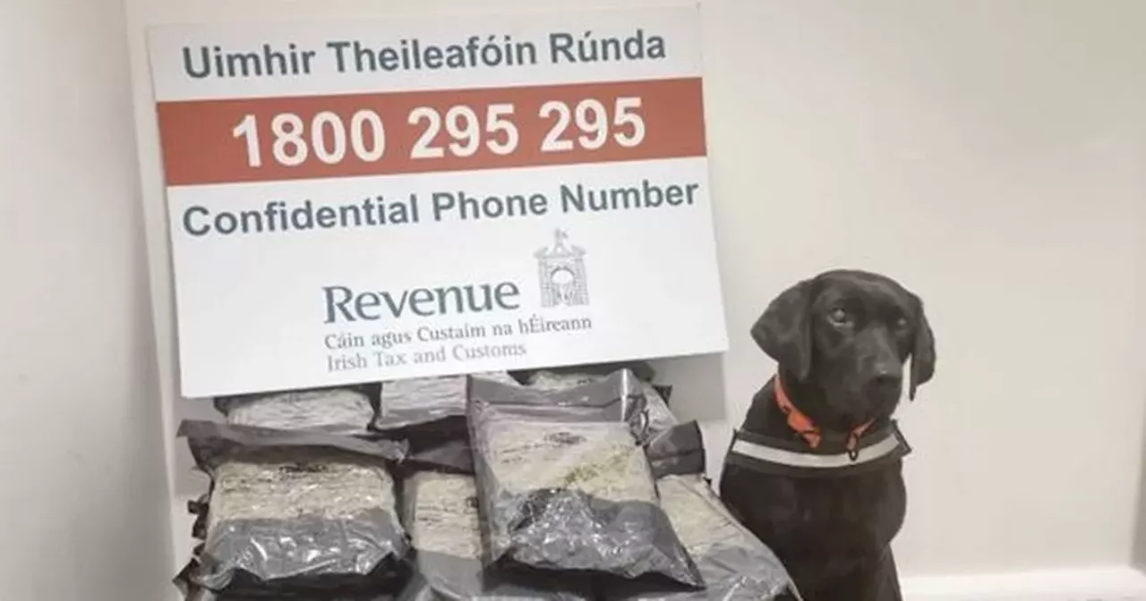 Woman arrested after €500k of cannabis found by sniffer dog at Dublin Airport