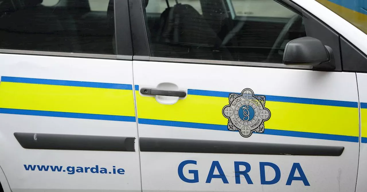 Woman who claimed Garda car ran over her foot has award cut by 80%