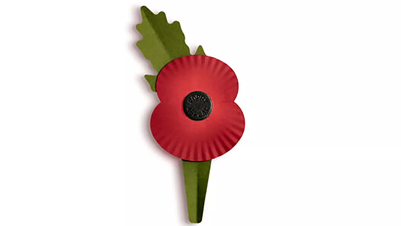 Remembrance poppies go plastic-free for first time in major recyclable redesign