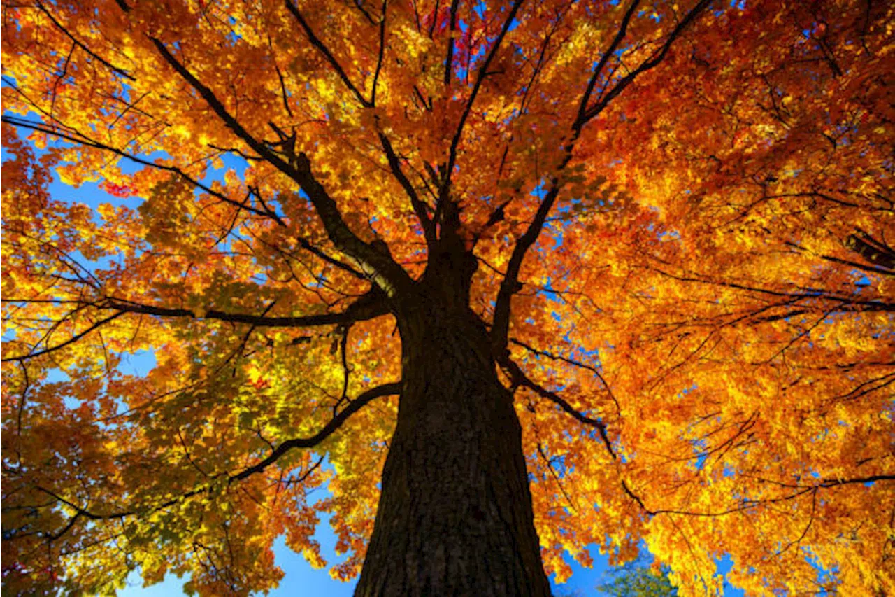 These photos of fall colors shared by viewers are absolutely breathtaking