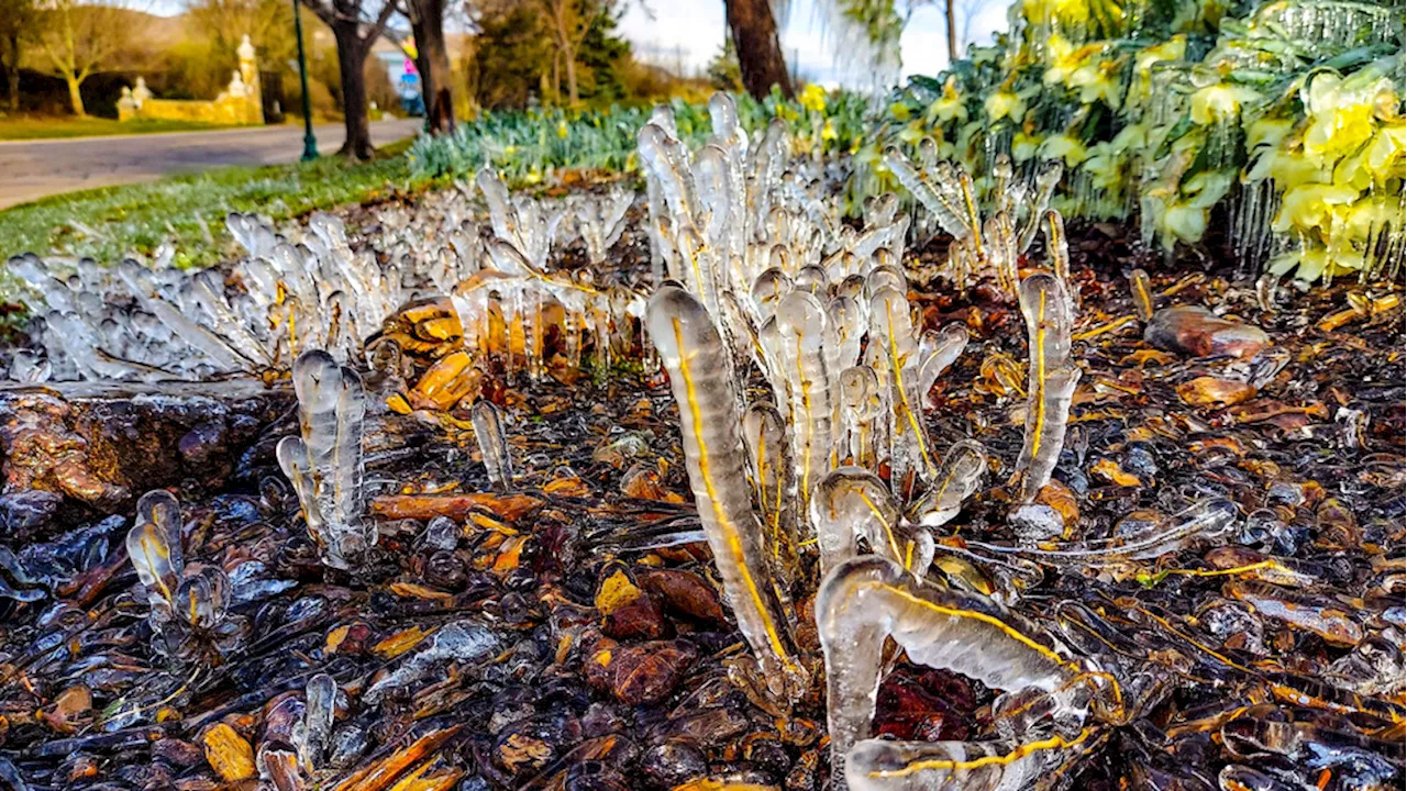 FIRST FREEZE: Salt Lake, Utah Counties and areas north expecting below-freezing temps