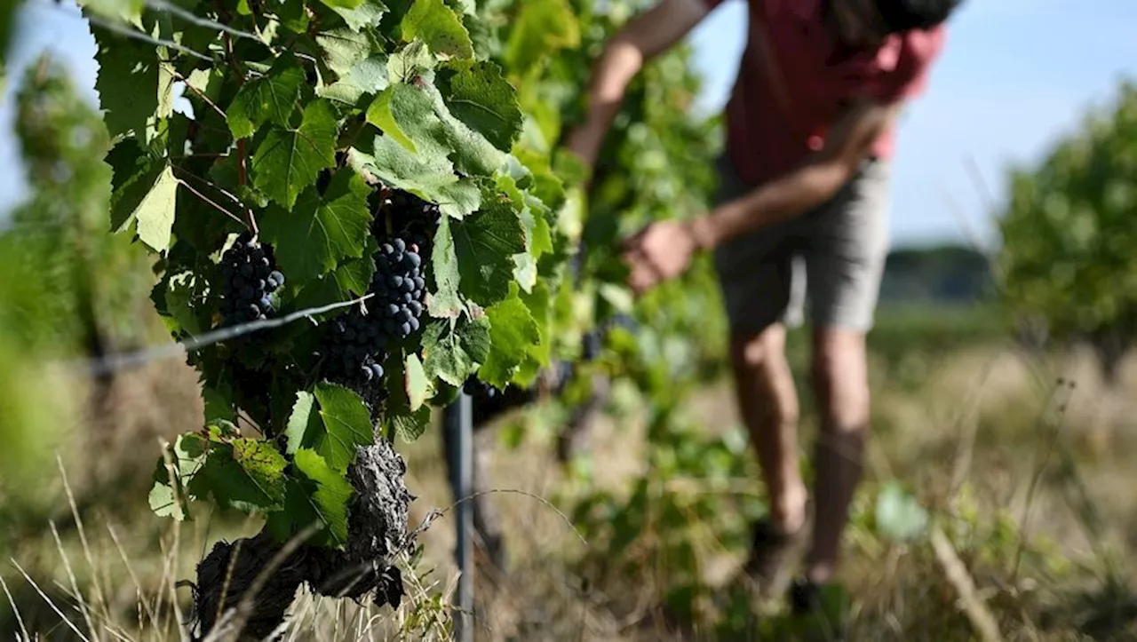 Découvrez les communes du Lot les plus exposées aux pesticides