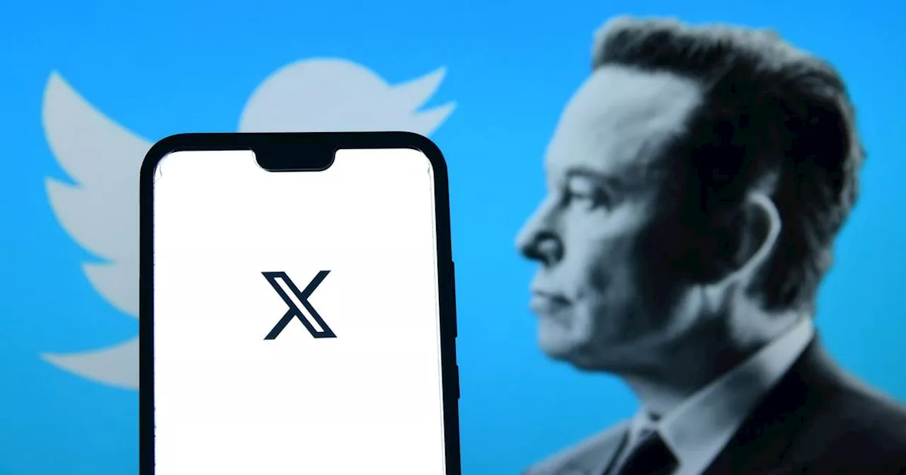 L’ouragan Elon Musk n’en finit pas de déstabiliser Twitter