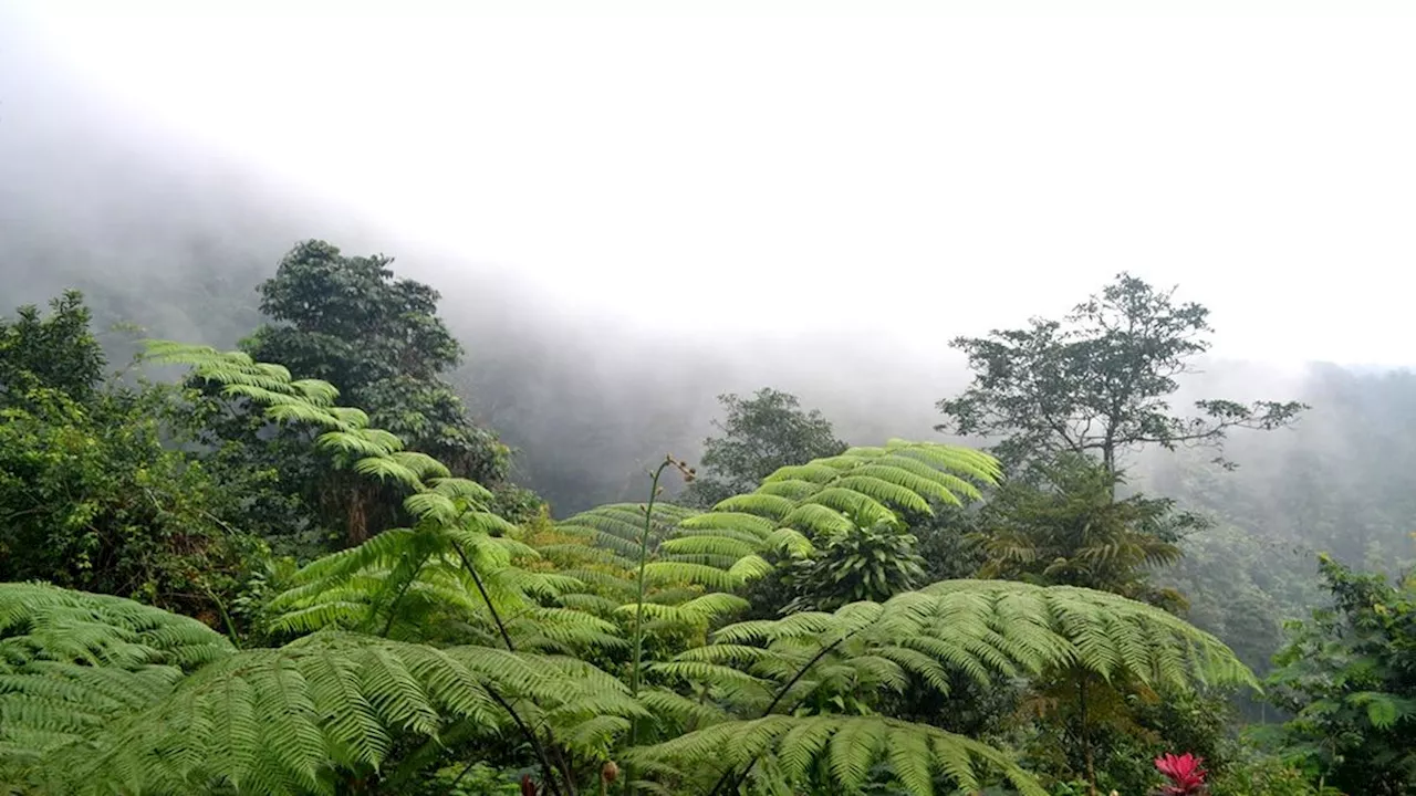 Cerita Urban Gunung Slamet, Gunung Tertinggi di Jawa Tengah