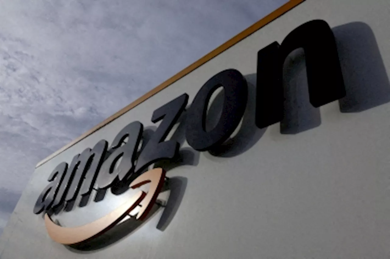 Amazon's cloud stabilising, shoppers cautious heading into holiday season