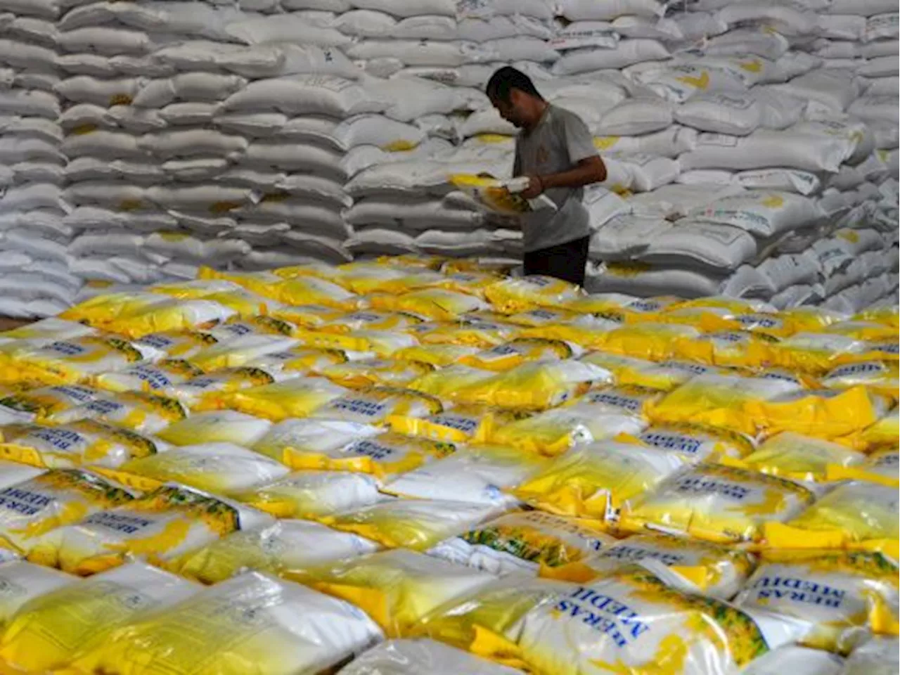 Sumbar Surplus Beras di tengah Ancaman El Nino