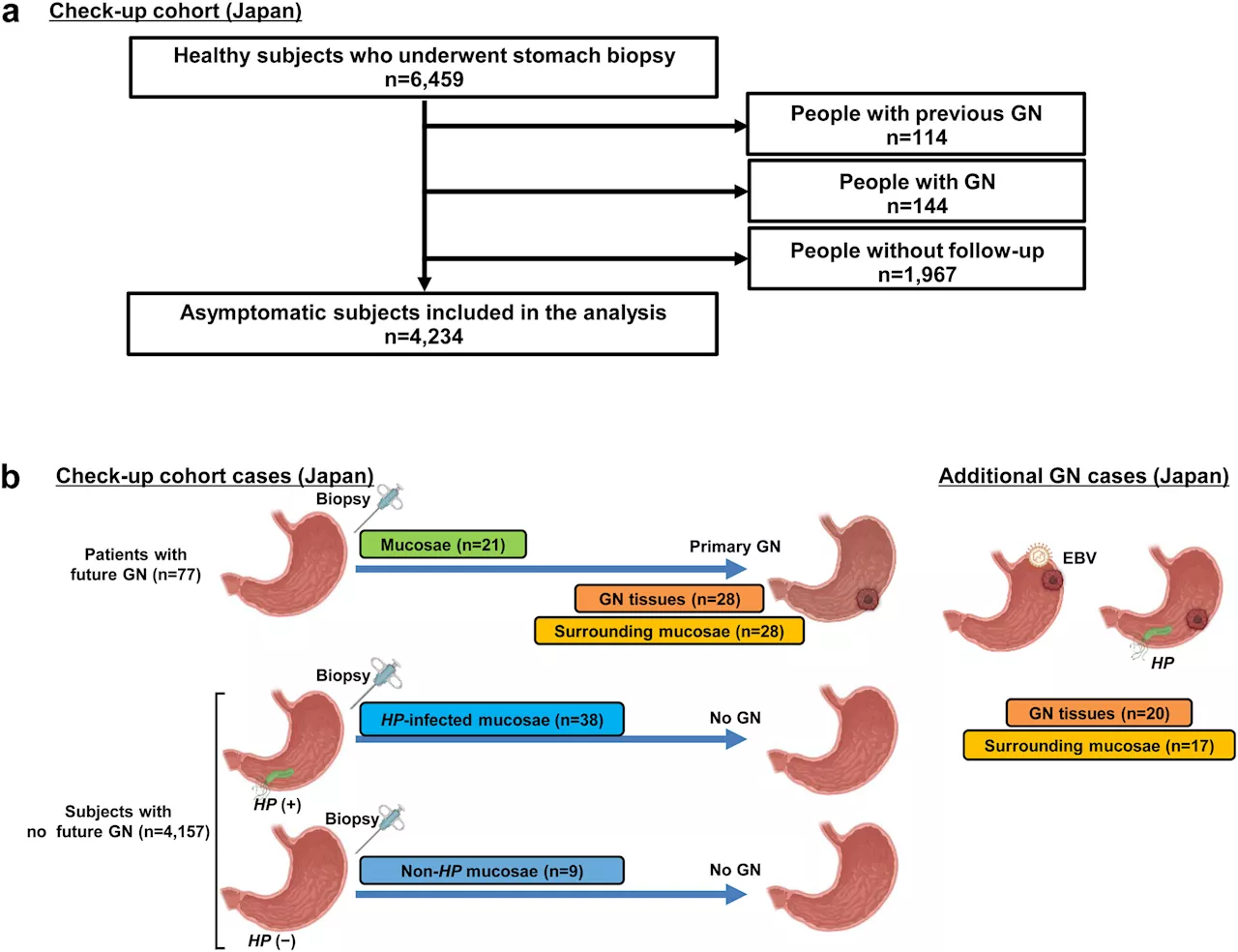 Estimating gastric cancer risk using DNA methylation and lifestyle data