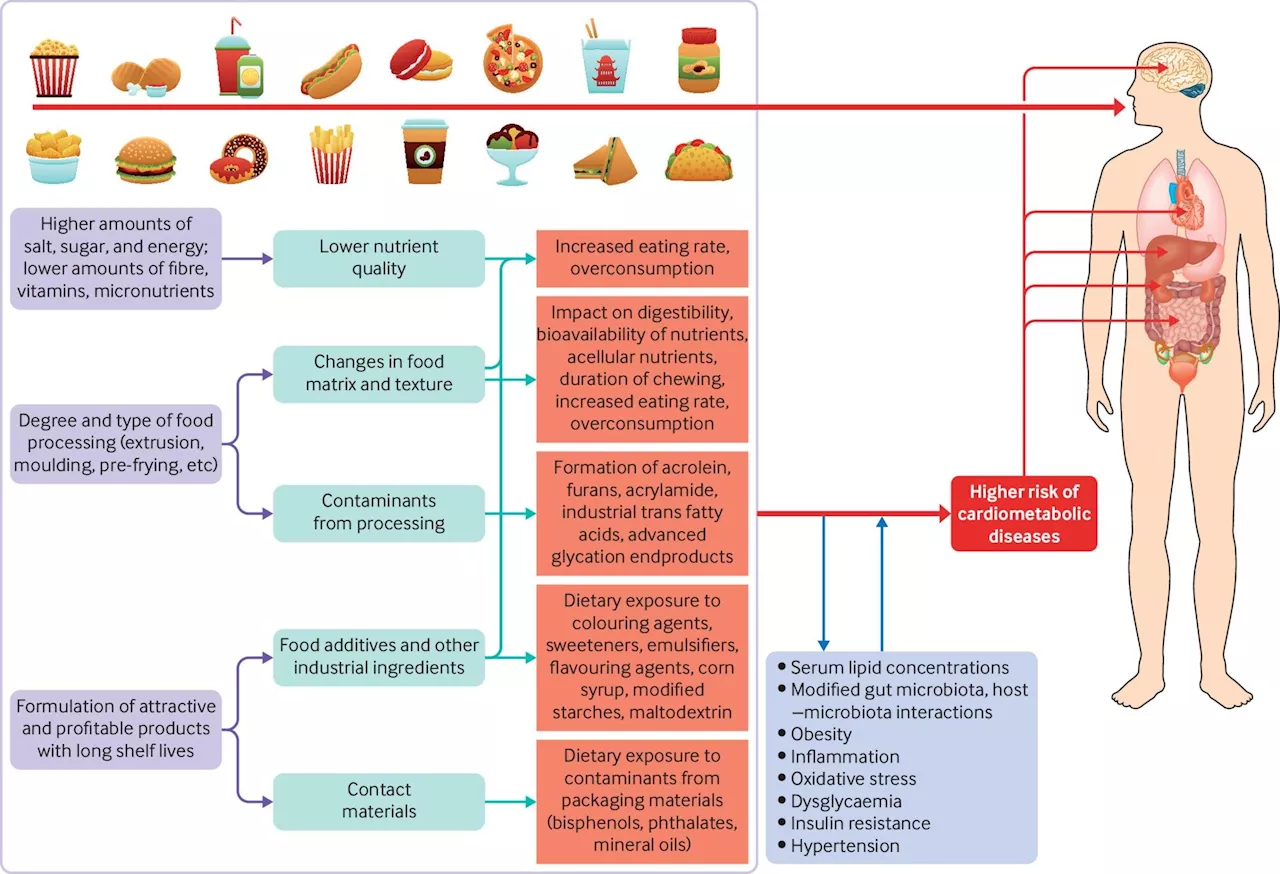 Time to inform the public about the adverse effects of ultra-processed foods, researchers say