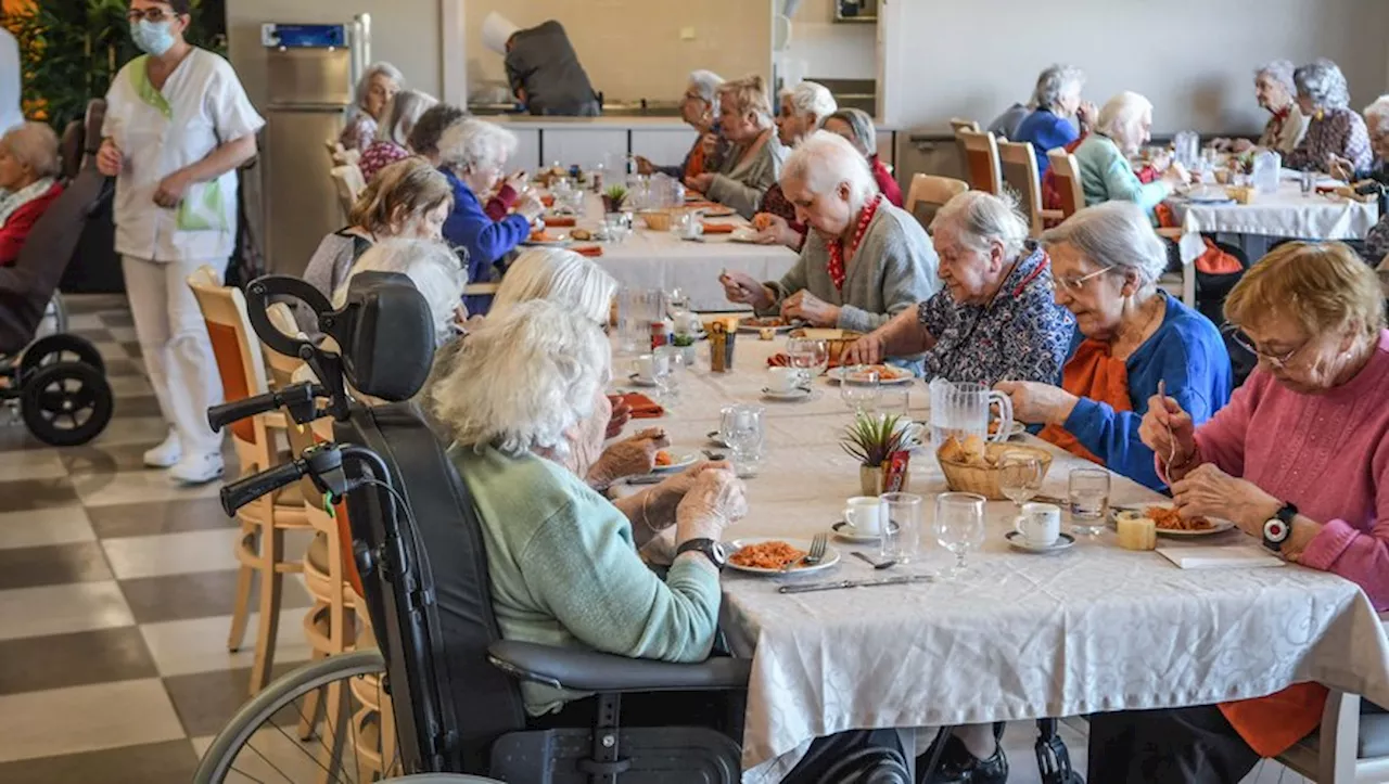 Plats mixés, aliments insipides, assiettes non terminées : l'enquête inquiétante sur la qualité des repas dans