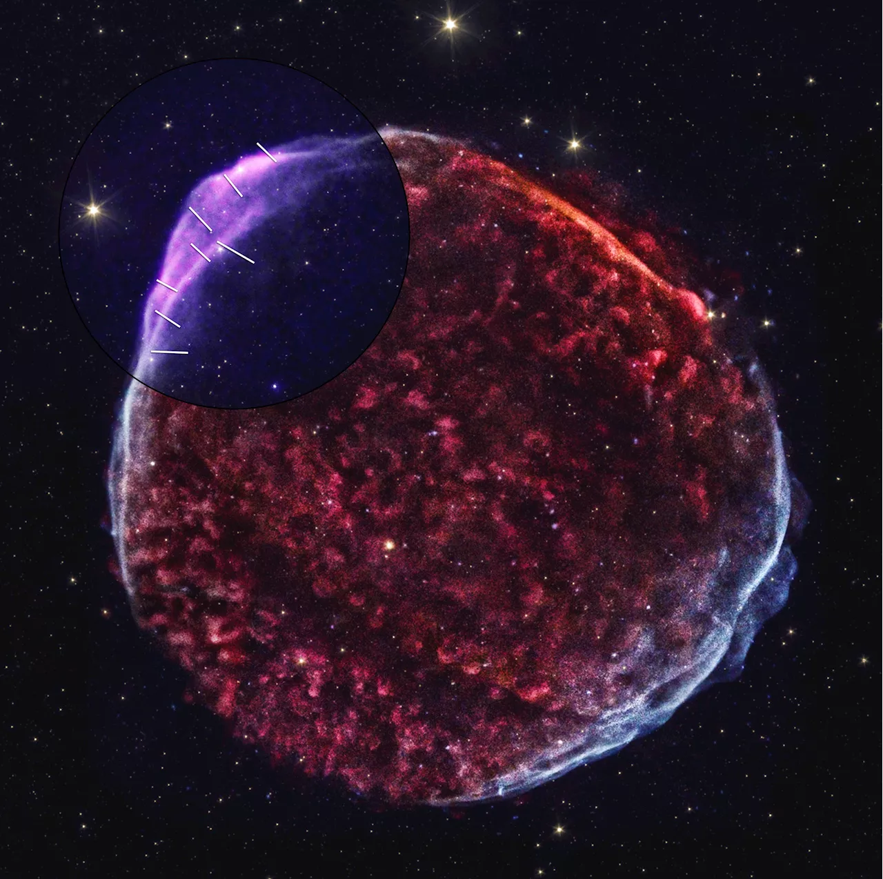 IXPE Untangles Theories Surrounding Historic Supernova Remnant