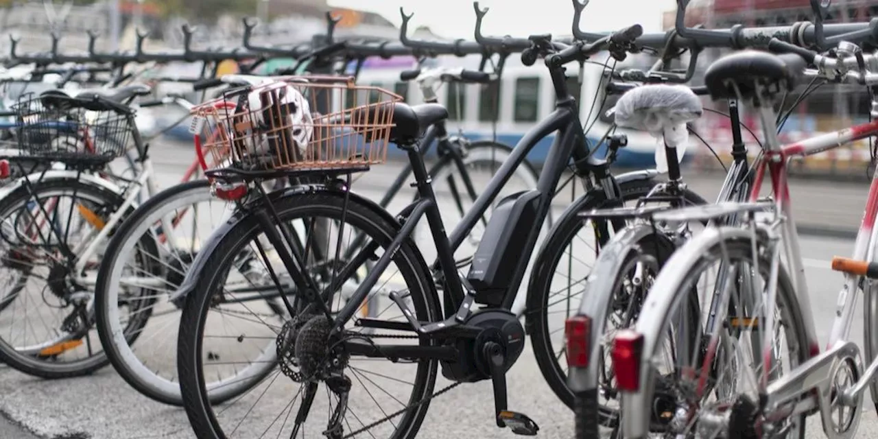 Zwei Männer am Zoll in Basel mit 24 gestohlenen E-Bikes erwischt