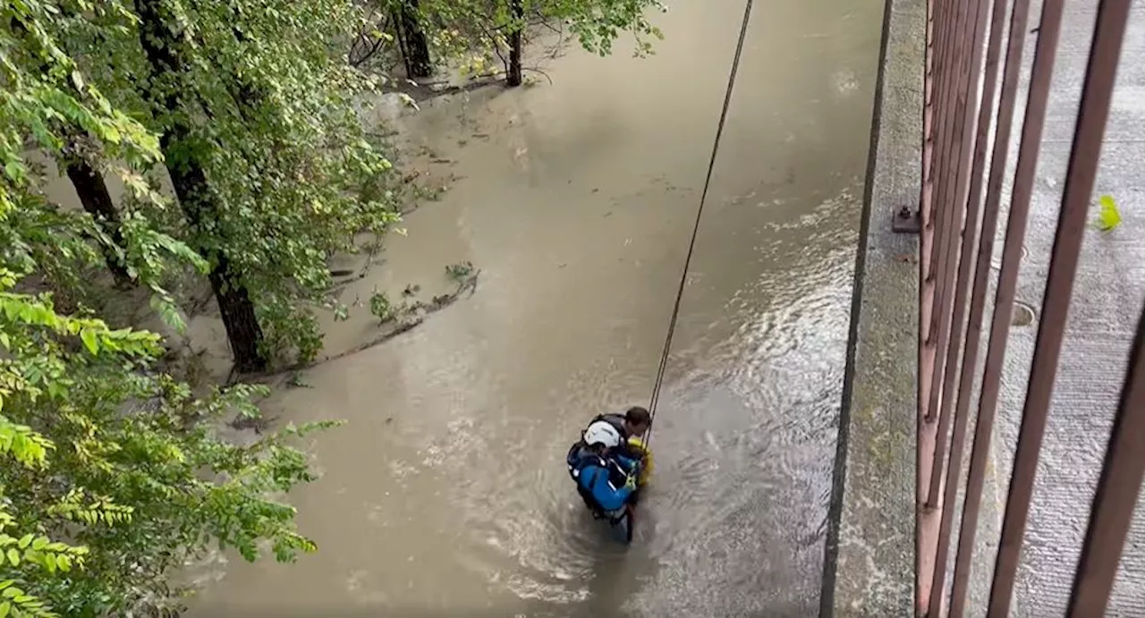 McKinney firefighters hoist 3 people, dog to safety during Flash Flood