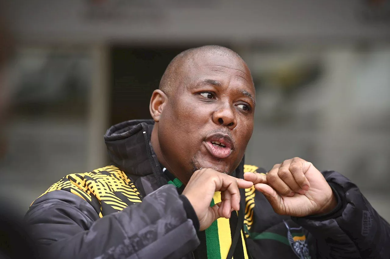 ANC celebrates as it snatches key ward from DA in KZN by-election