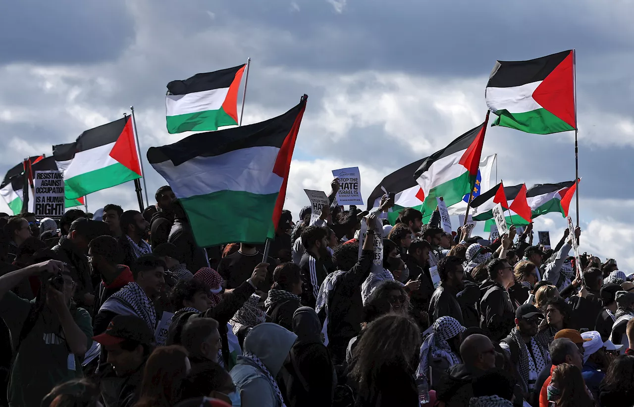 Footage Shows Pro-Palestinian Rally Turn Violent in New Orleans