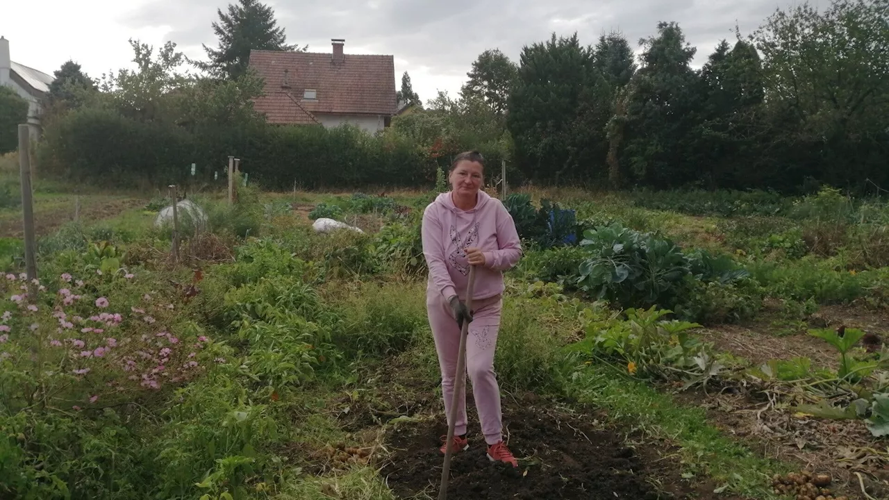 Neulengbacher Biogemüse: „Leider blieben die Käufer aus“