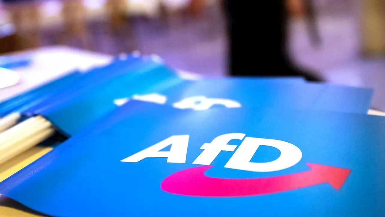 Thüringen: Abstimmung mit AfD: CDU offen für Änderung des Waldgesetzes