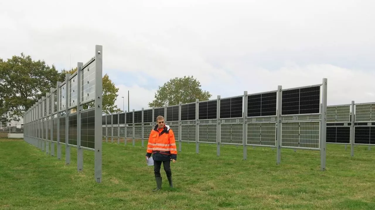 Pourquoi un nouveau type de panneaux solaires est-il expérimenté dans un pré du nord Deux-Sèvres ?