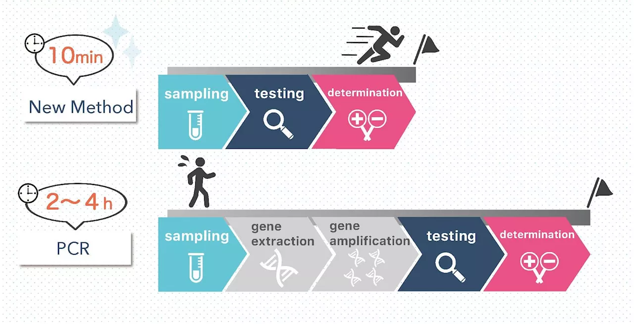 Japanese researchers develop AI-nanopore platform for accurate, rapid COVID-19 testing