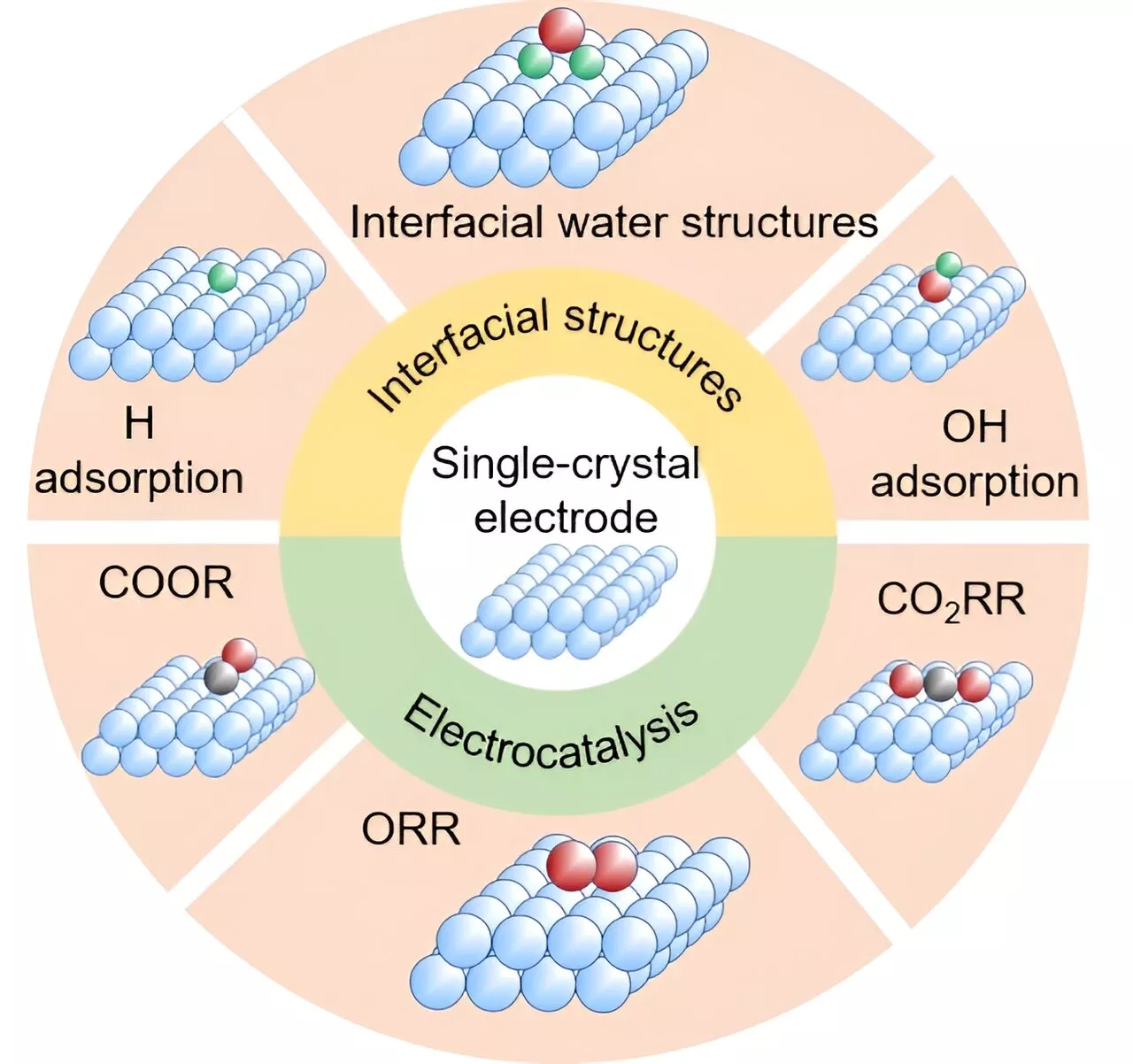 Recent advances in Raman spectroelectrochemistry on single-crystal surfaces