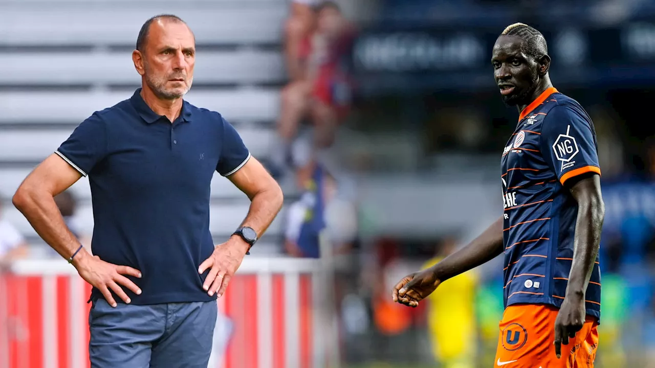 Montpellier: Der Zakarian à l'origine de l'altercation avec Sakho?