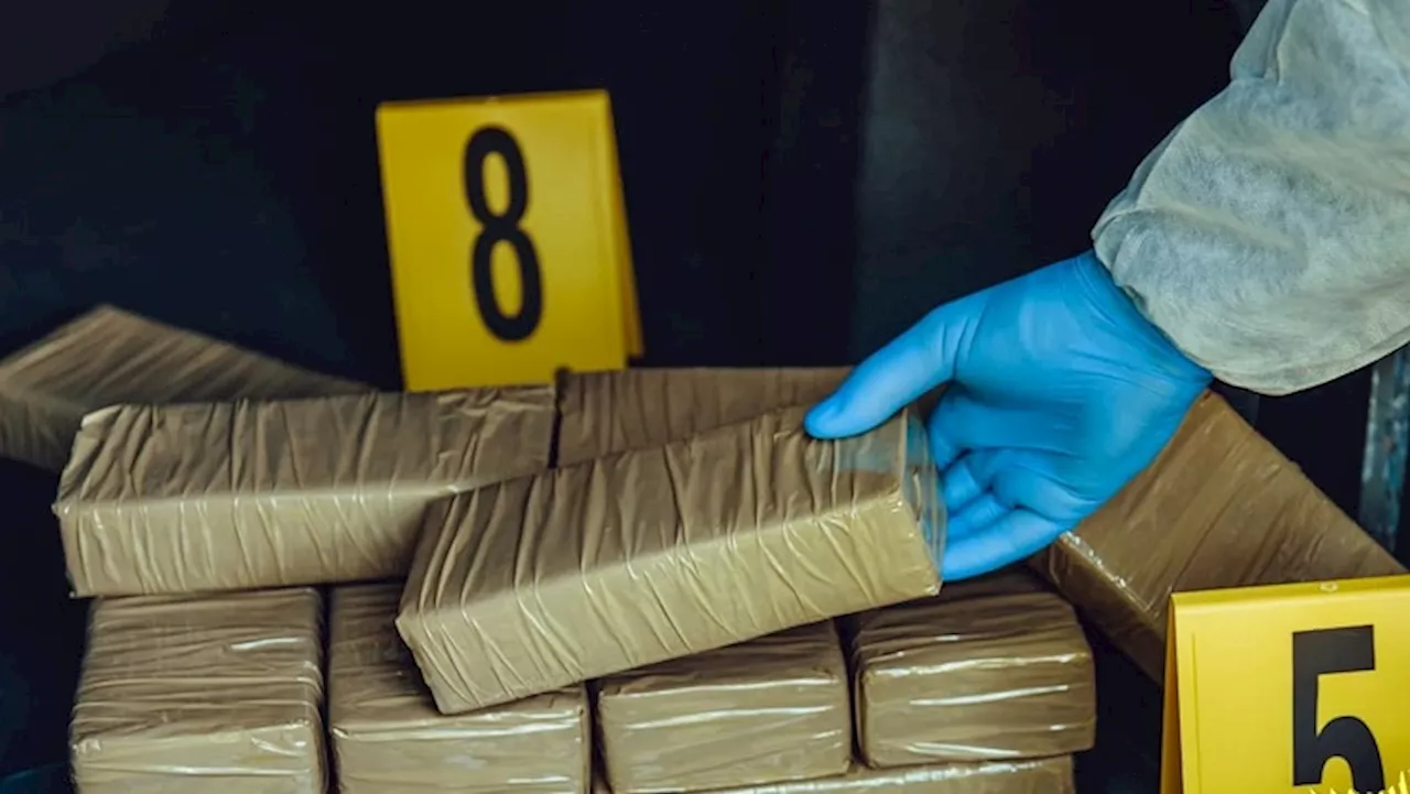 Police destroy R800 million worth of drugs in Johannesburg - SABC News - Breaking news, special reports,