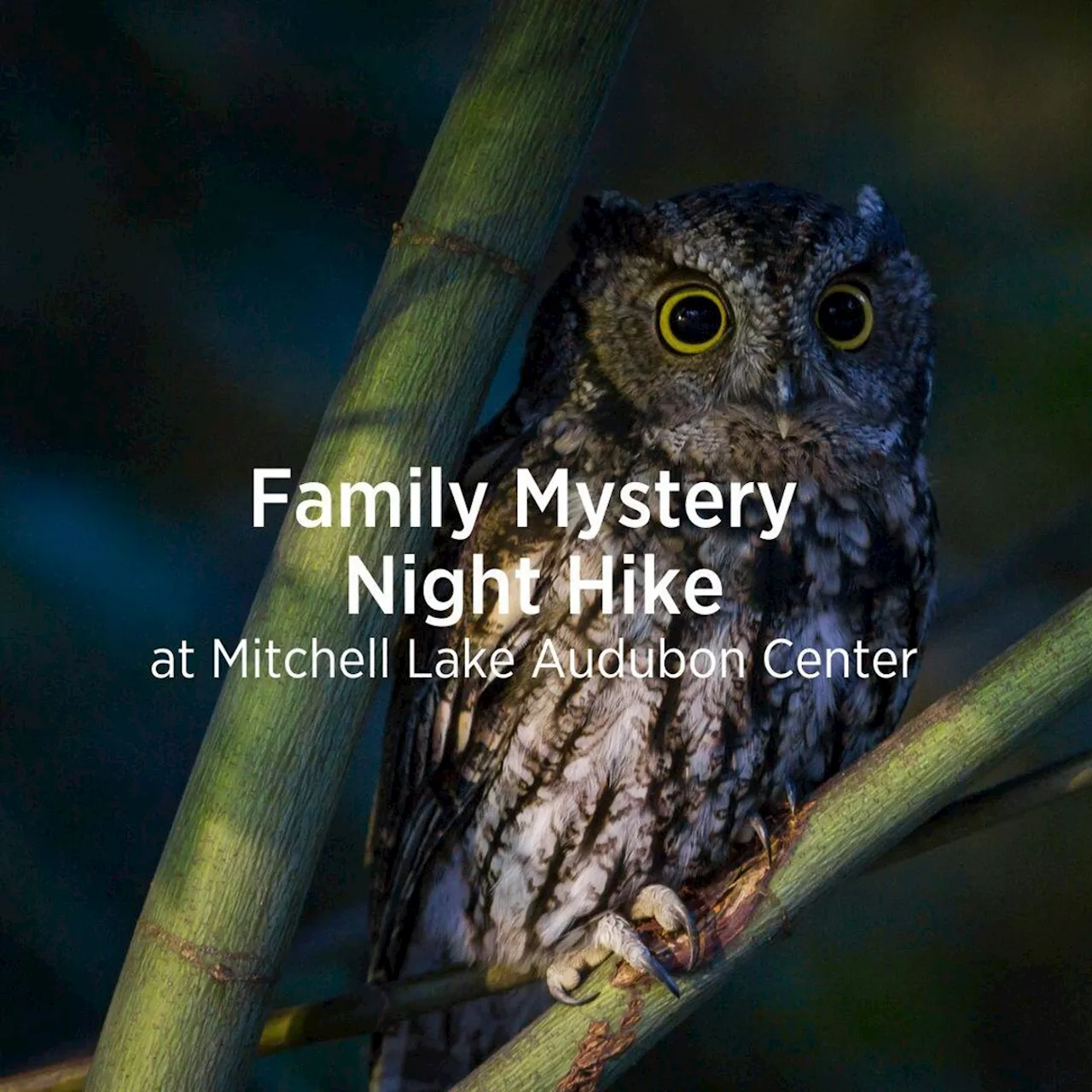 Family Mystery Night Hike