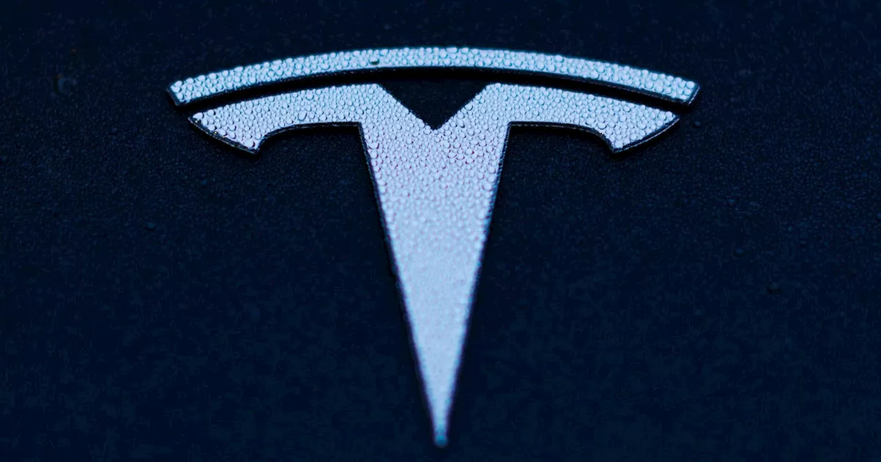 Tesla supplier Syrah expects more graphite buys ahead of China export ban