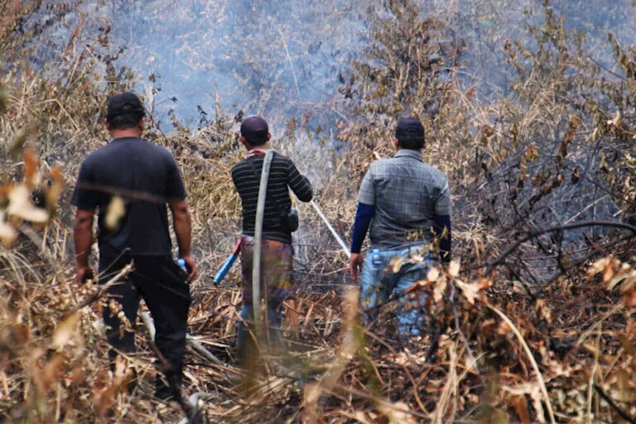 Young firefighter killed battling inferno in Borneo orangutan habitat