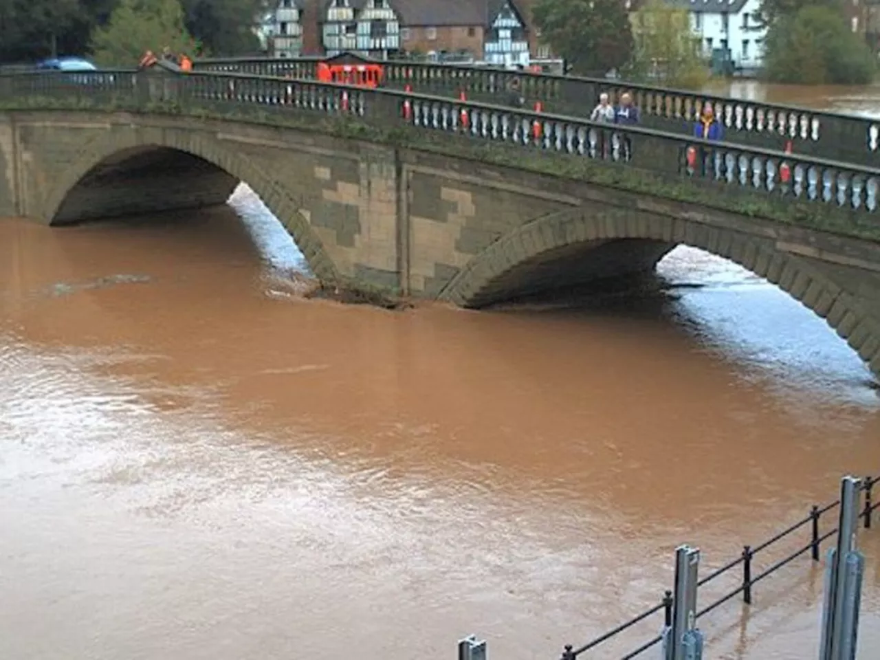 Cathy Dobbs on floods, food and factory fodder