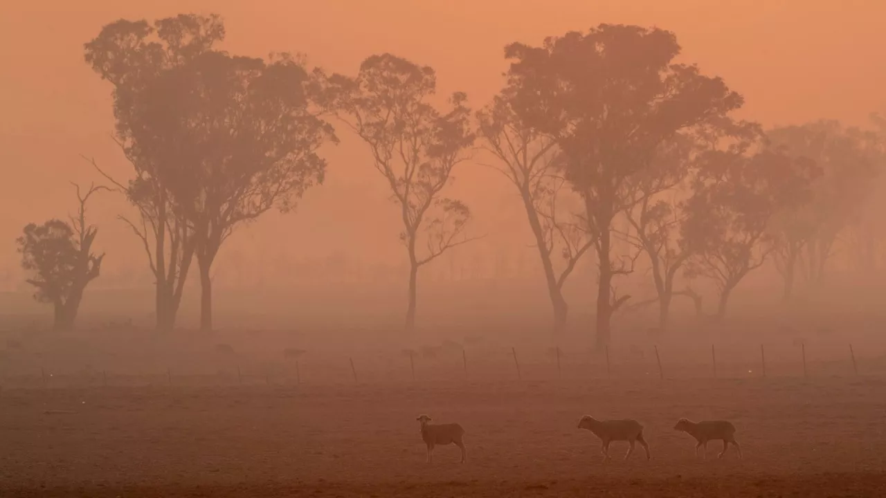 Lightning strikes spark multiple fires across northern NSW