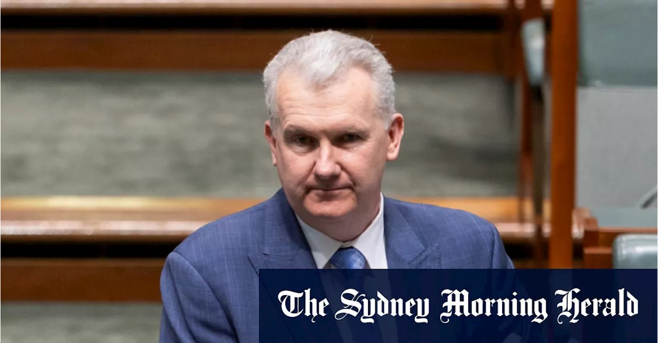 Tony Burke supports flying Palestinian flag, cautions against ‘competitive grief’