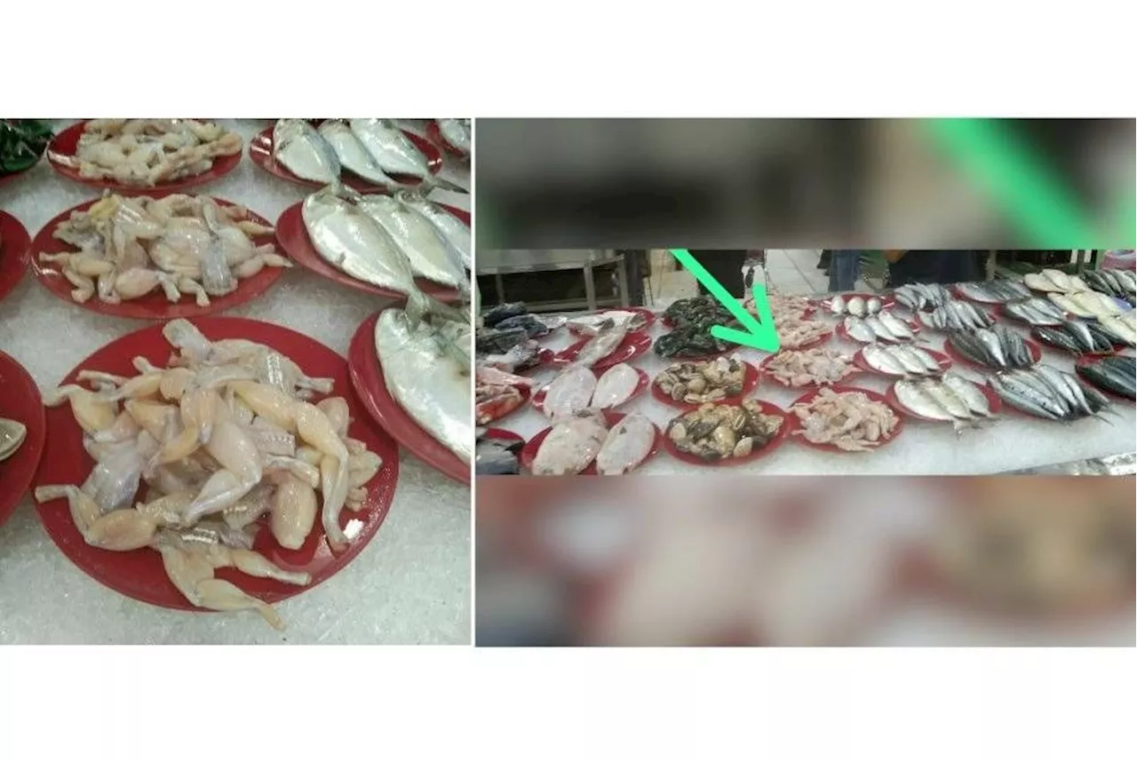 QuickCheck: Did a supermarket display frog meat next to fish in Selayang?