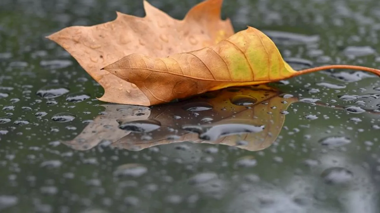 Wetter: Regen und Wolken in Rheinland-Pfalz und dem Saarland