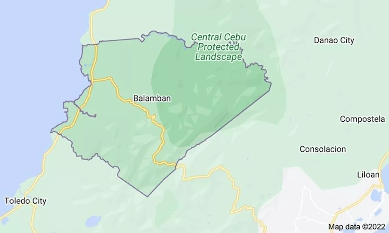 Brgy. in Balamban 'area of concern'