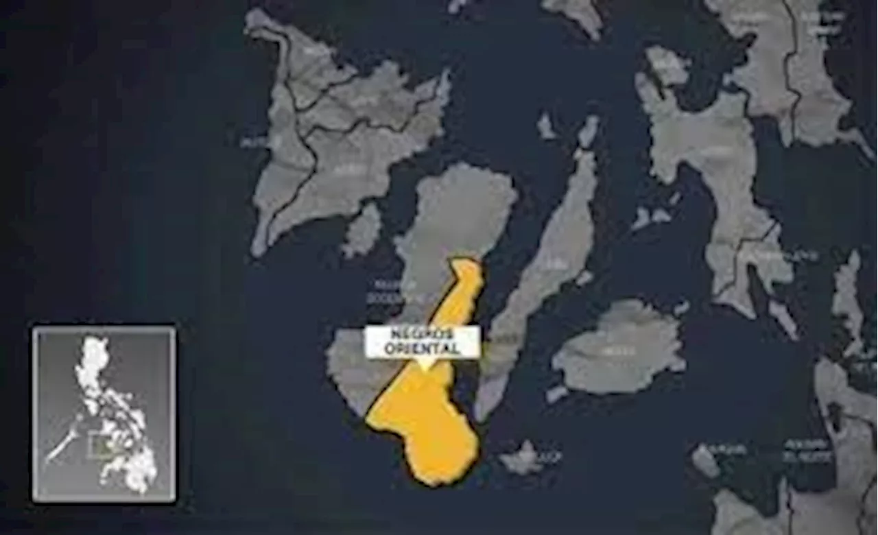 Negros Oriental subject to curfew on Oct. 28-29 to ensure peaceful elections