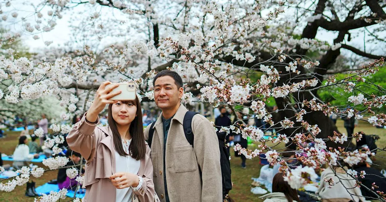 Wendalinum-Schüler aus St. Wendel berichten über Austausch in Japan