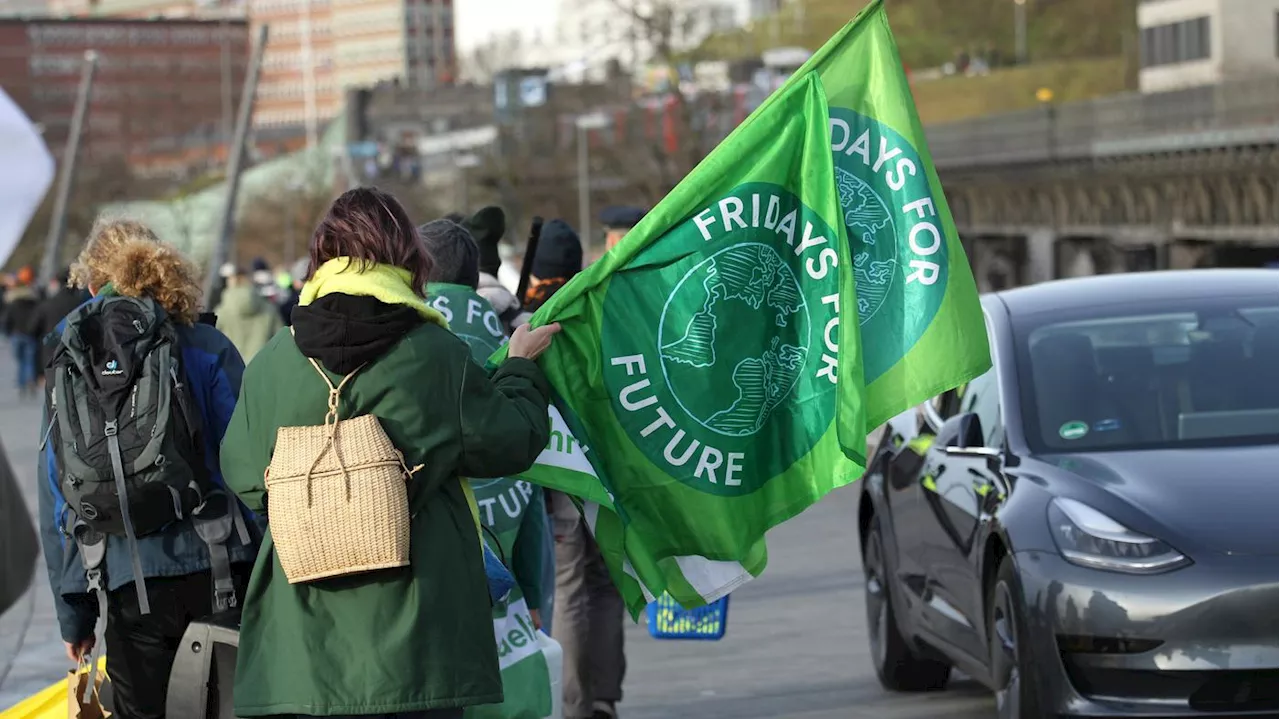 Zentralrat fordert Abspaltung deutscher Sektion: „Fridays for Future“ äußert sich israelfeindlich