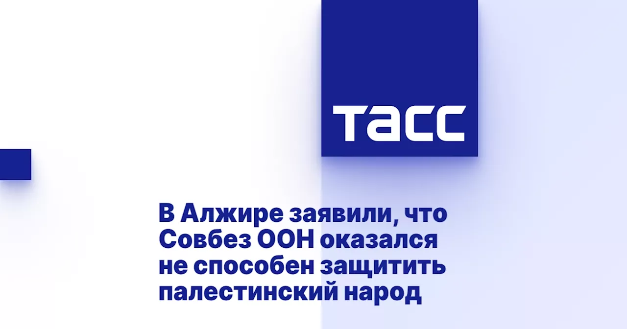 В Алжире заявили, что Совбез ООН оказался не способен защитить палестинский народ