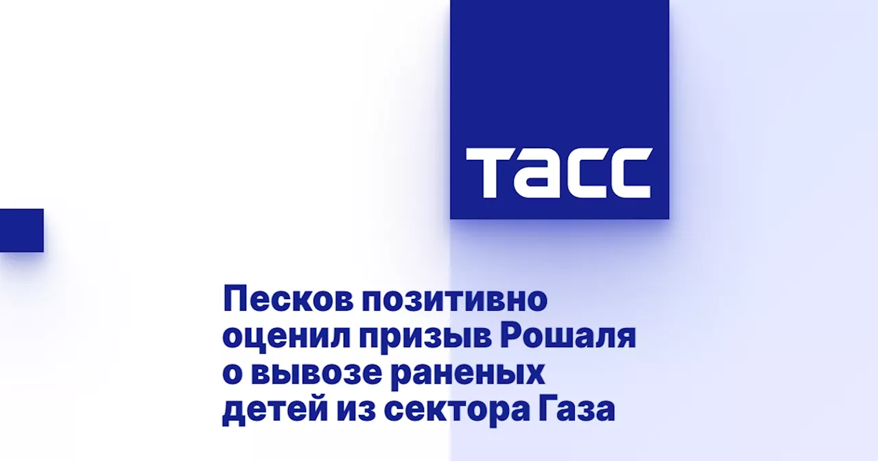 Песков позитивно оценил призыв Рошаля о вывозе раненых детей из сектора Газа