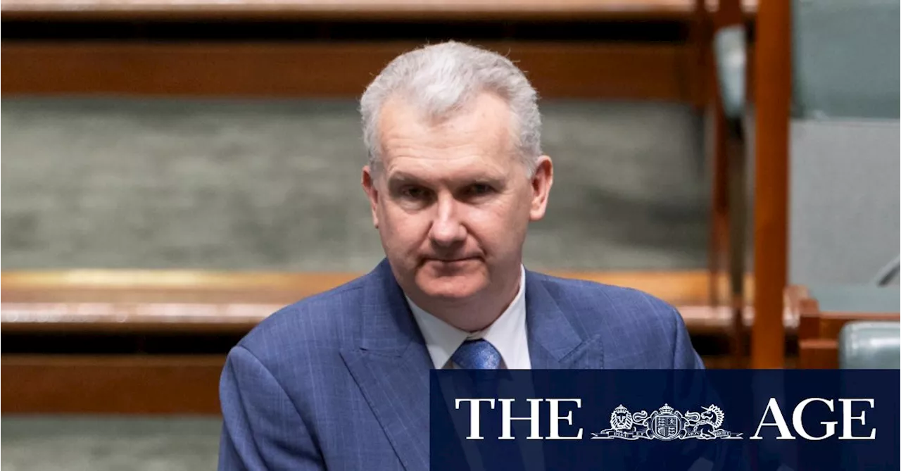 Tony Burke supports flying Palestinian flag, cautions against ‘competitive grief’