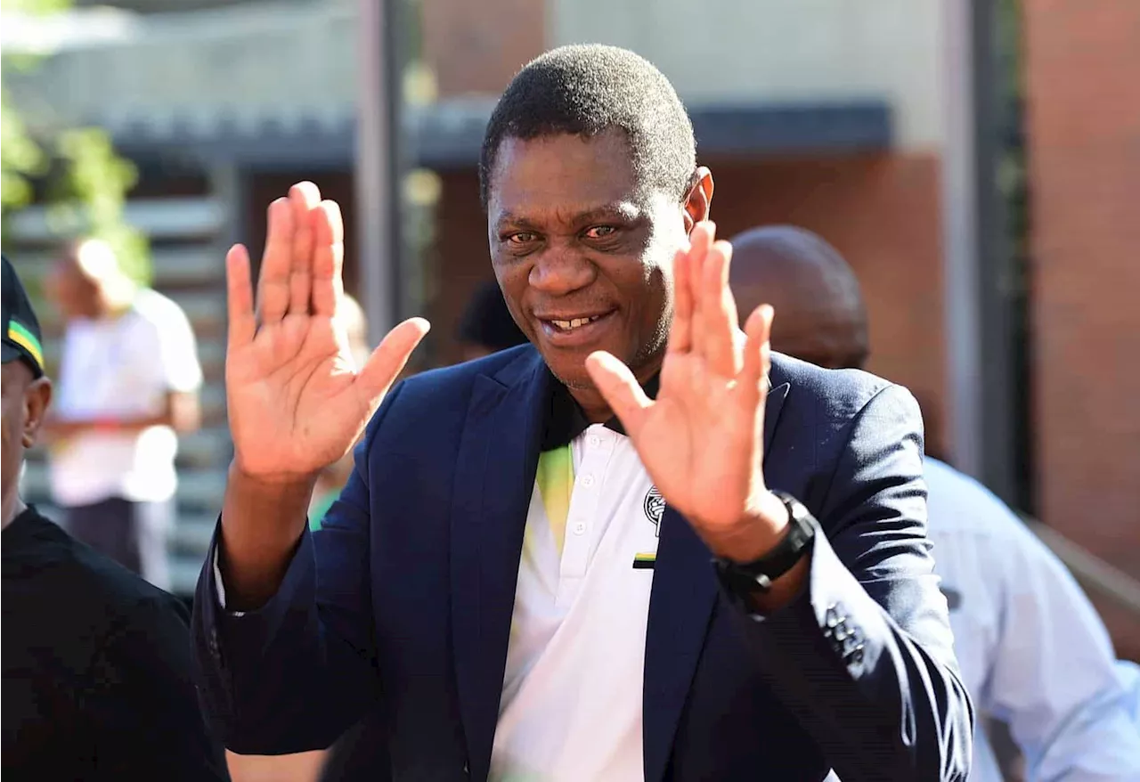 Mashatile’s houses and R43k phone: Here’s what SA’s top politicians declared