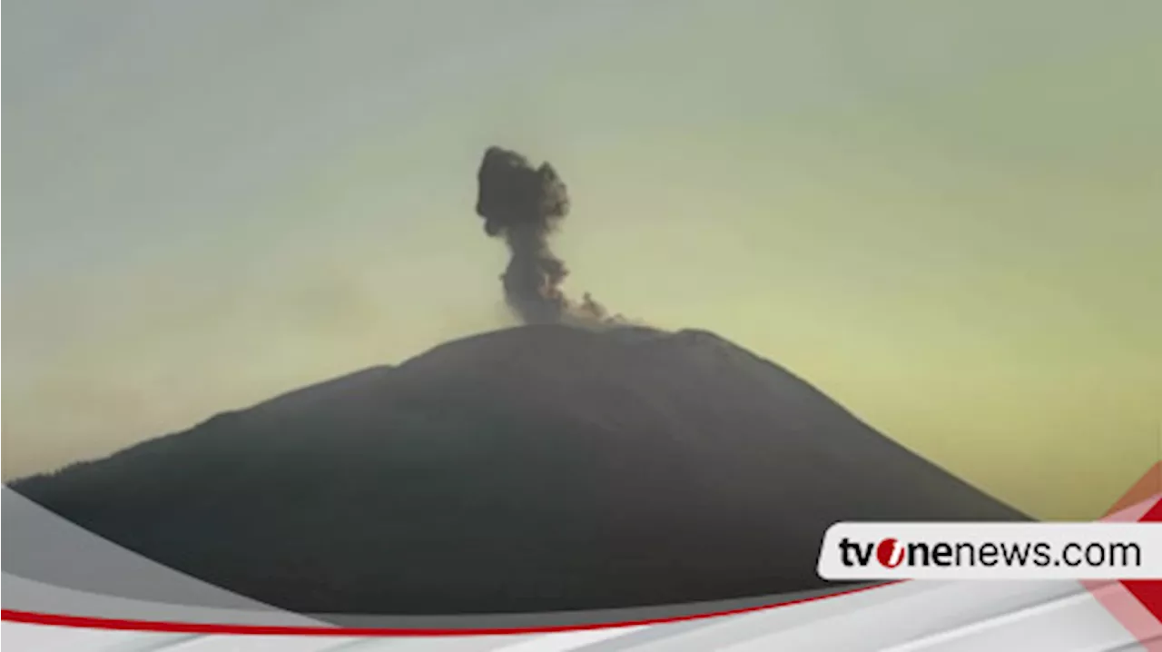 Kamis Pagi Gunung Ili Lewotolok Kembali Meletus Muntahkan Abu Vulkanik