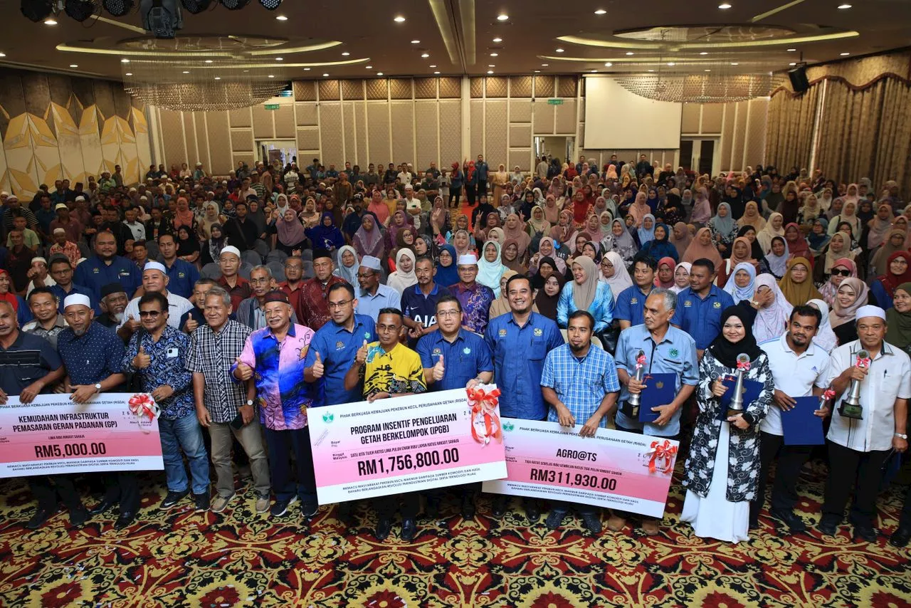 Lebih 30,000 pekebun kecil di Kelantan tidak mengusahakan kebun getah